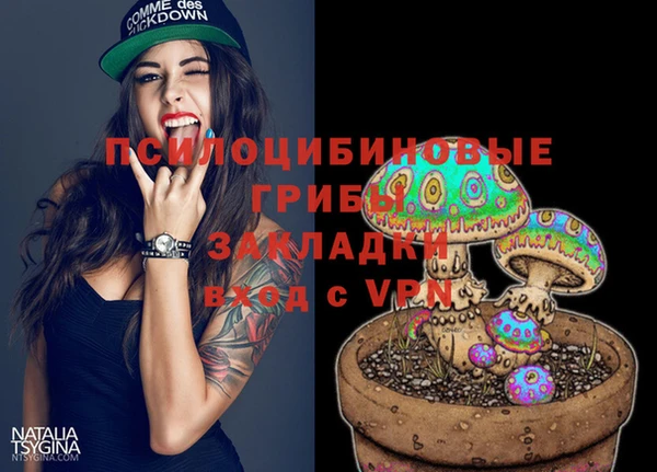 винт Каменск-Шахтинский