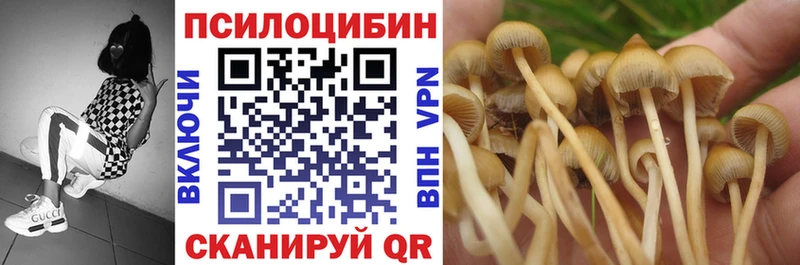 Купить закладки  Верхняя Пышма  Галлюциногенные грибы Psilocybine cubensis 